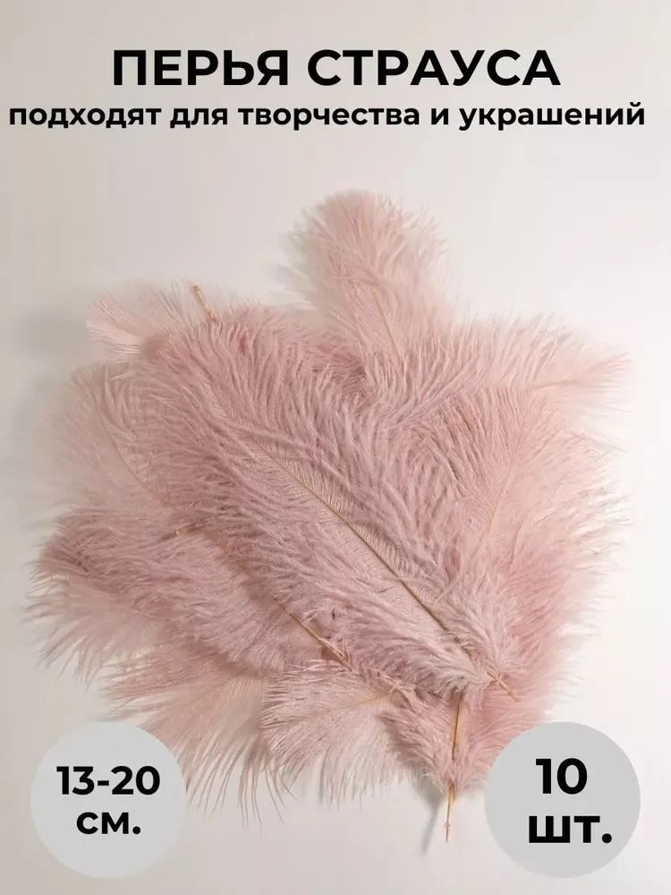 Перья страуса #1