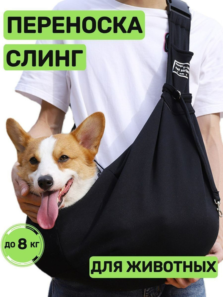 Переноска #1