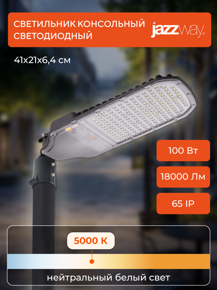 Светильник уличный консольный Jazzway PSL 05-2 100w 5000K IP65 #1