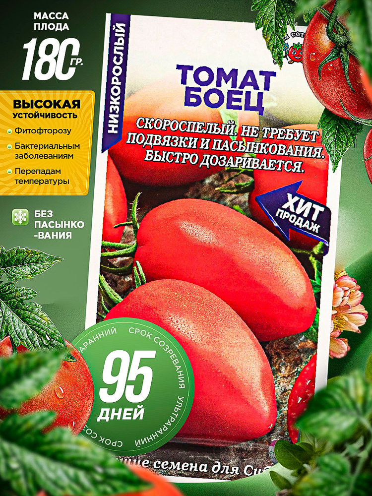 томат боец семена #1