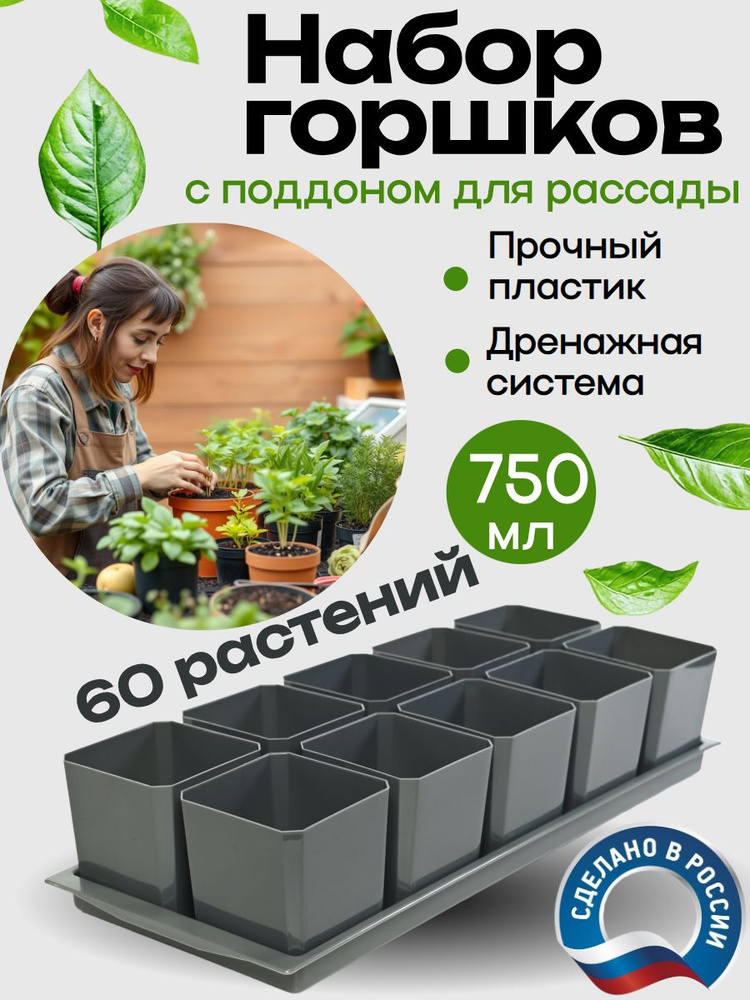 Набор для рассады #1