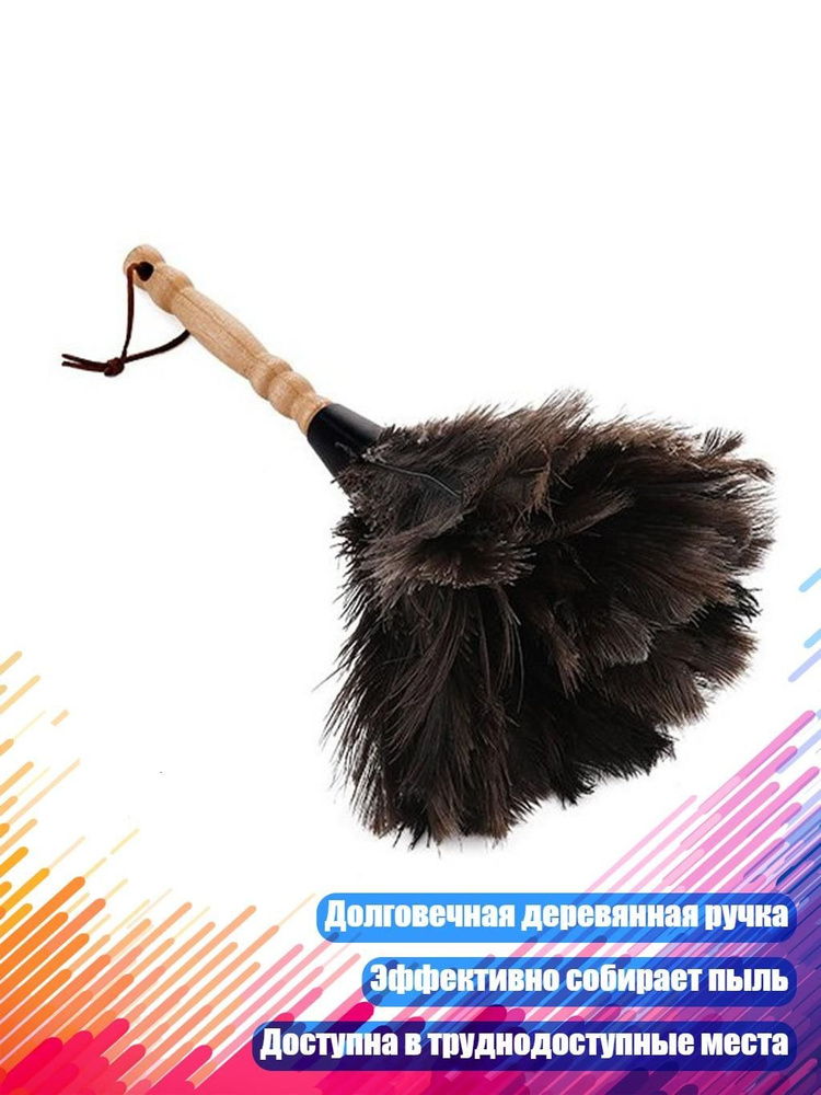 Пипидастр #1