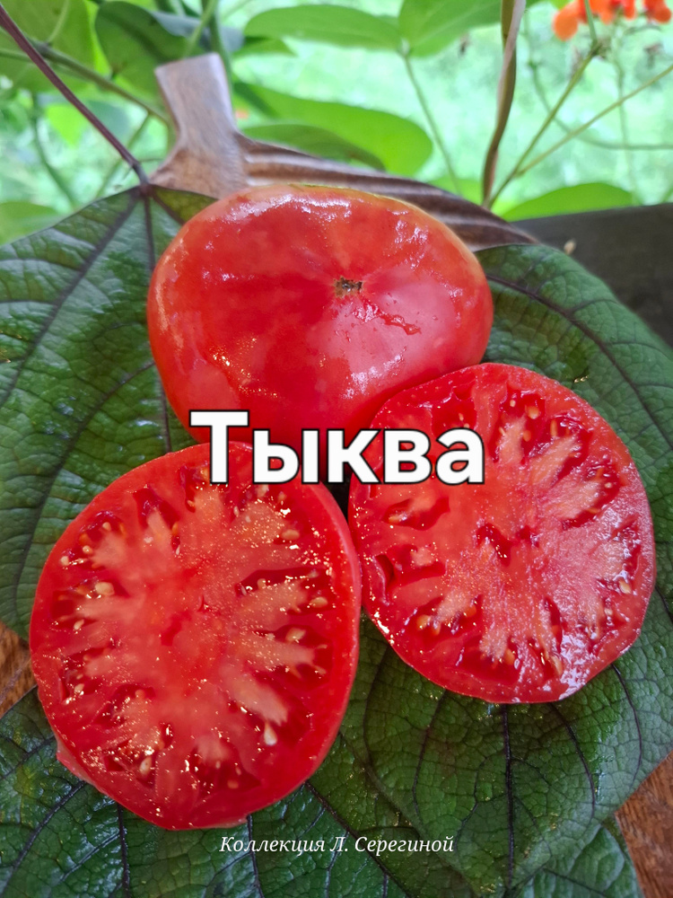 Тыква #1