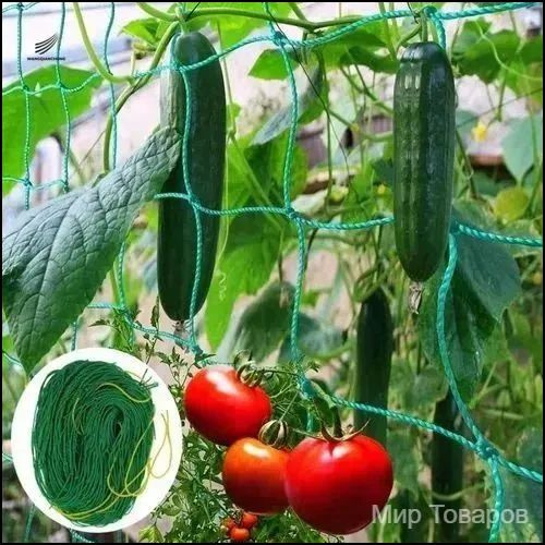 Сетка садовая 2.7х1.8 м полиэтилен 1 шт #1