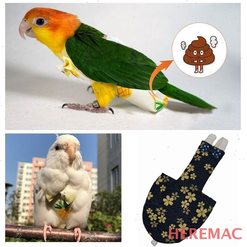 Одежда для животных HEREMAC #1