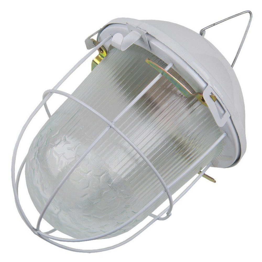Светильник General Lighting Systems НСП 02-100-002.01, 100 Вт, E27, IP54, настенно-потолочный, с решеткой, #1
