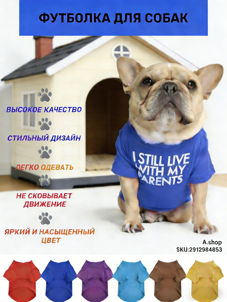 Одежда для животных #1