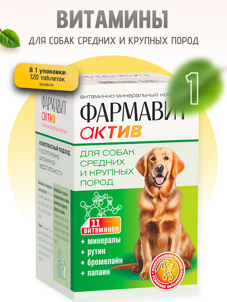Витамины для собак средних и крупных пород 1 уп по 120 таблеток #1
