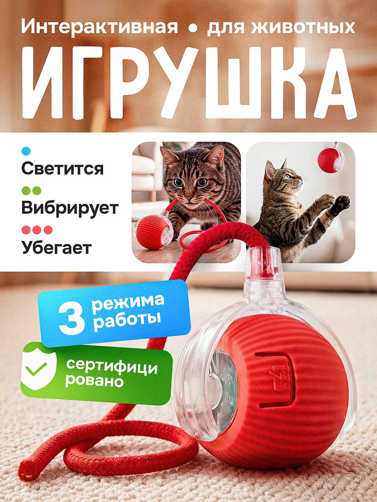 Интерактивная игрушка для кошек, игрушки для котят #1