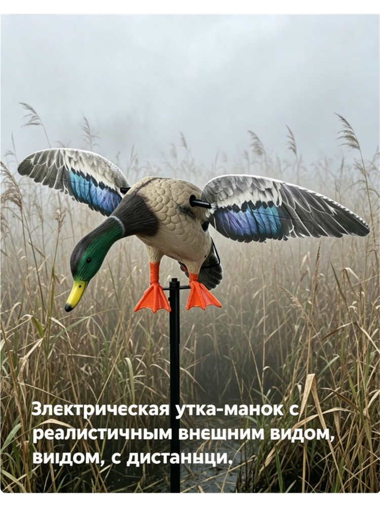 Чучело #1