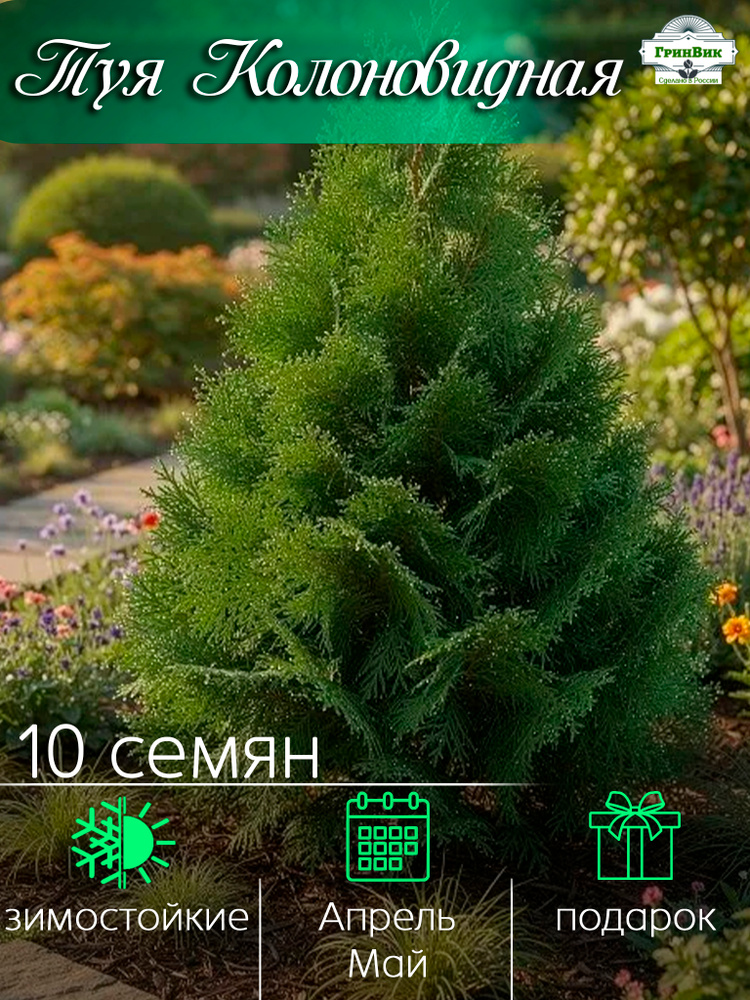Семена ,10шт #1