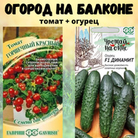 Ангурия (арбузный огурец), съедобная, декоративная лиана семена купить недорого