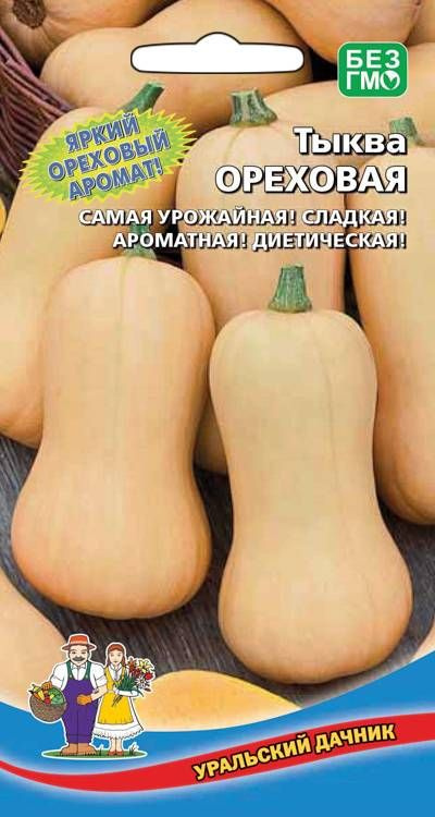 Тыква Витаминная Отзывы Фото