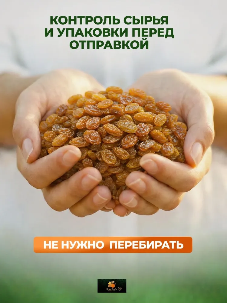 Изюм без косточек светлый малаяр 500гр, 500 г, фото 3