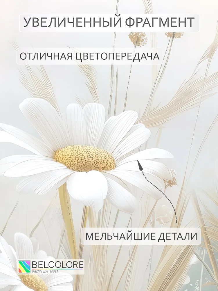 Фотообои на стену 400х270 см, цветы Ромашки в спальню, в детскую, гладкие, без ПВХ, 400x270 см, фото 5
