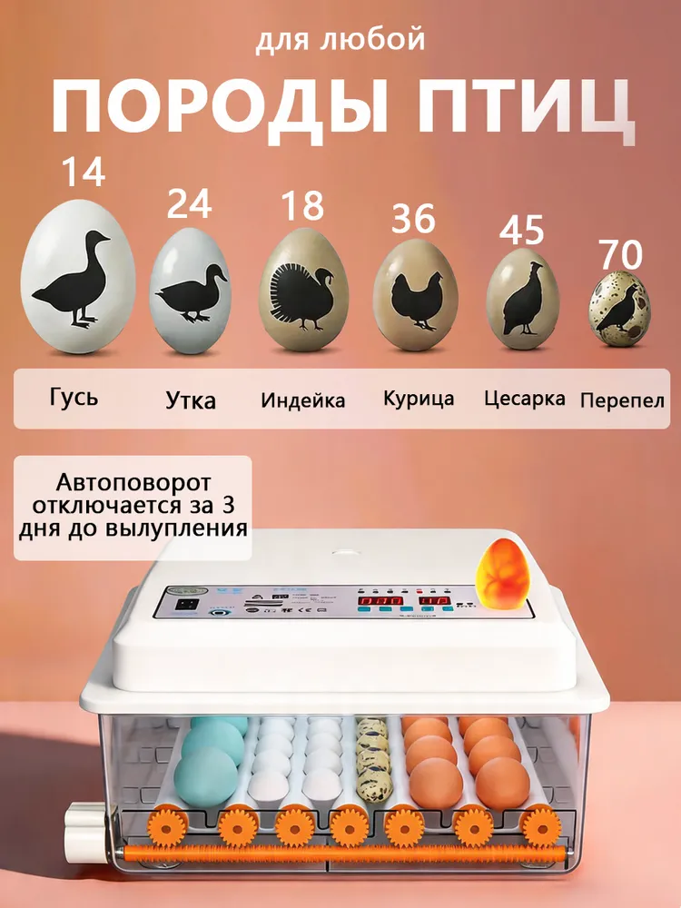 36 яиц, BEVEACE Автоматический интеллектуальный домашний инкубатор для яиц, Регулирование температуры и влажности,овоскопом, автоповоротом, AC220V, один источник питания, вариант, фото 3