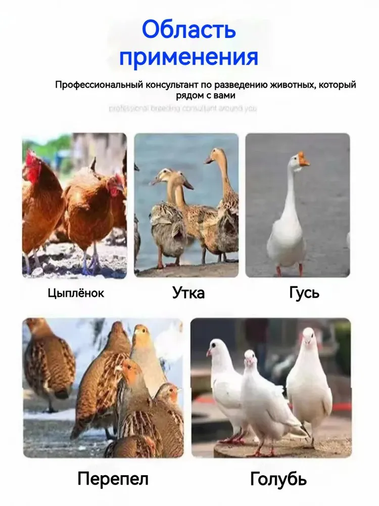 Порошок добавка для птиц для профилактики паразитов, для кур, цыплят, уток, 100 г, 100 г, фото 6
