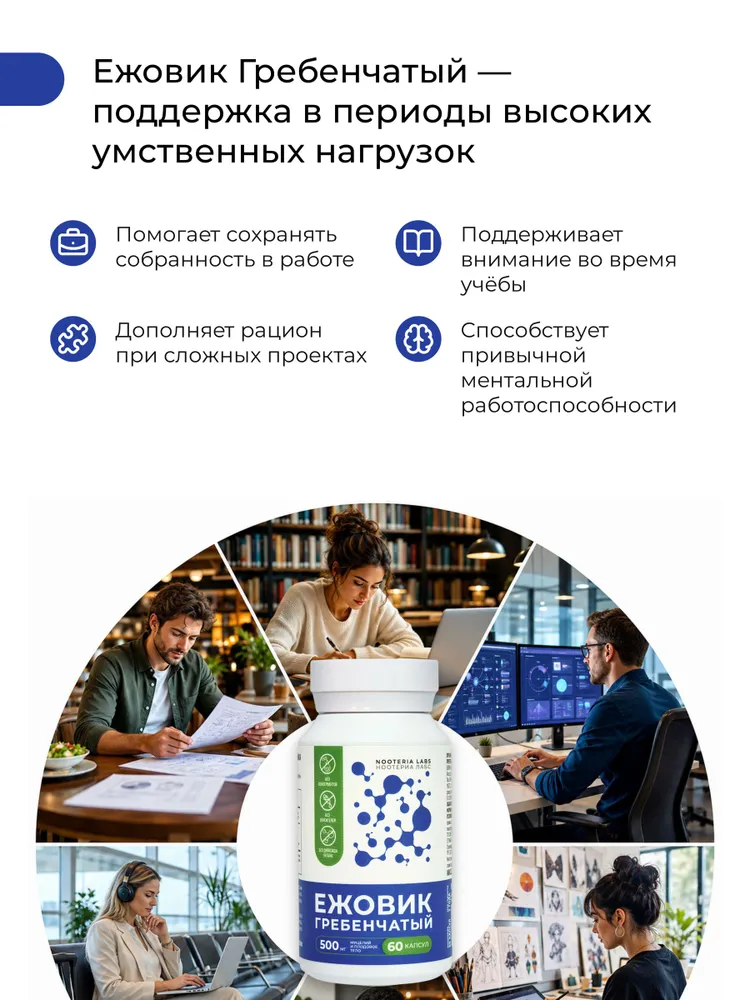 Ежовик гребенчатый мицелий и плодовое тело гриба для памяти, энергии и концентрации, 60 шт., 60 шт, фото 2