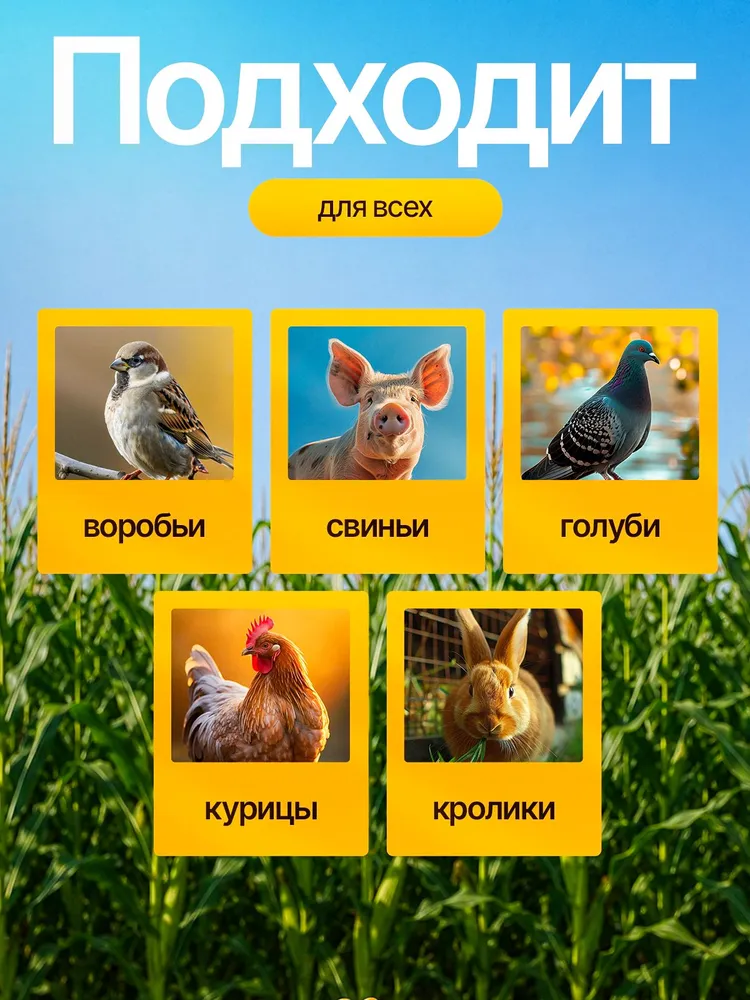 Кукуруза кормовая для с/х животных 5кг, 5 кг, фото 5