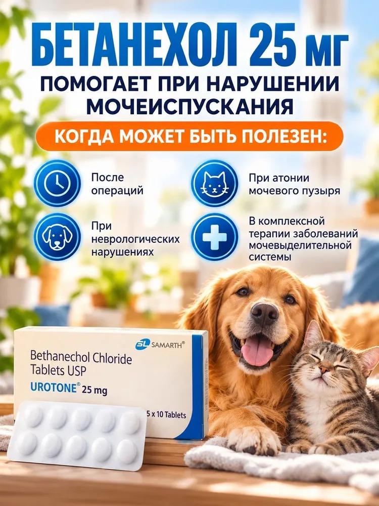 Бетанехол для собак и кошек ,25 мг, 10 таб (1 бл). Срок до 07/2027, вариант, фото 2