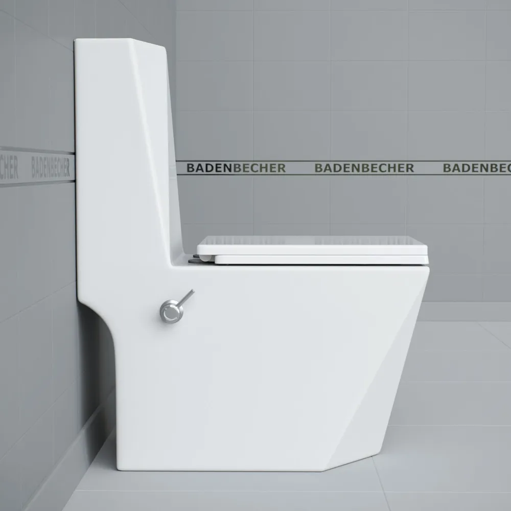 Унитаз моноблок с встроенным биде BADENBECHER 8627ABW-2 (форсунка на ободке) крышка микролифт в комплекте, вариант, фото 4