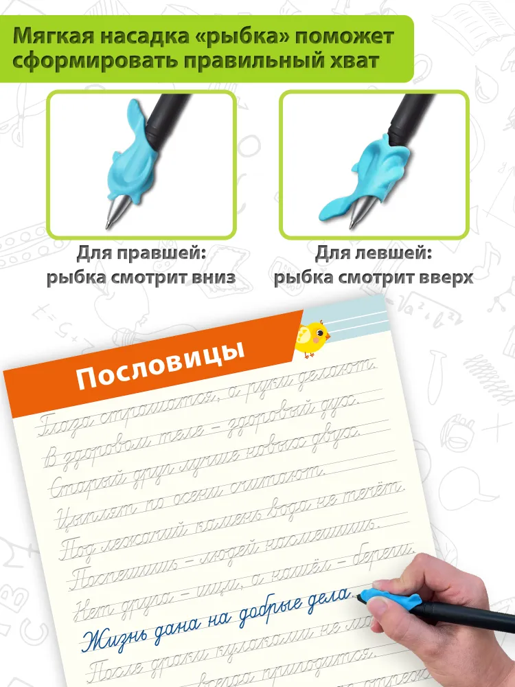 Многоразовые прописи Дрофа-Медиа. Прописи для дошкольников Соединения букв. Слова. Предложения, вариант, фото 3