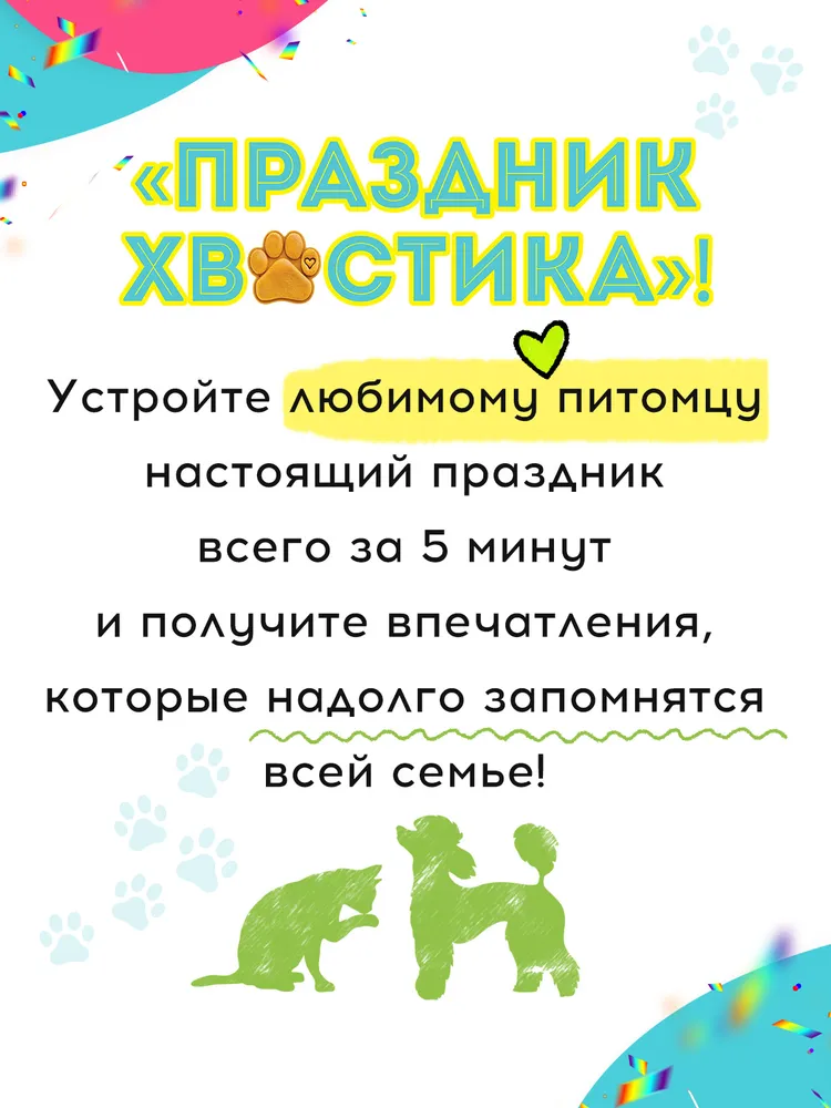 Праздничный набор с колпаком на день рождения собаки, вариант, фото 6