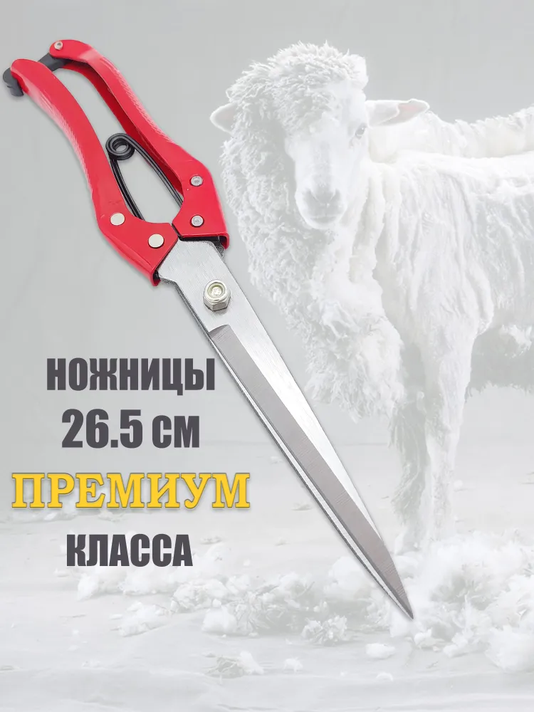 Ножницы для стрижки овец, вариант