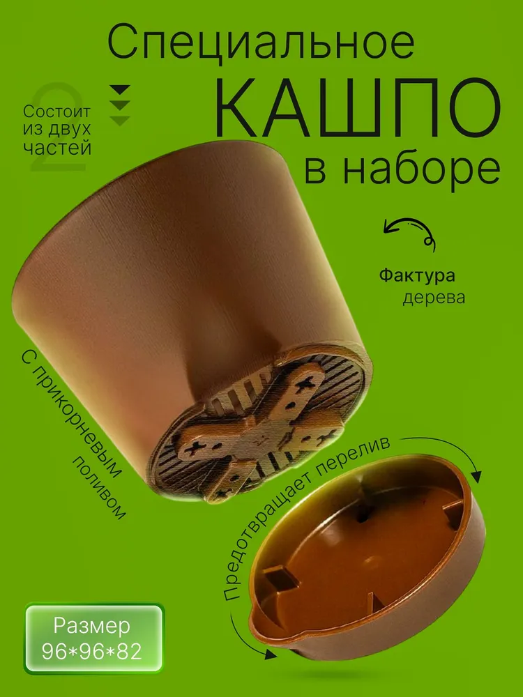 Бонсай набор для выращивания растений Сосна Сакура Жакаранда, вариант, фото 5