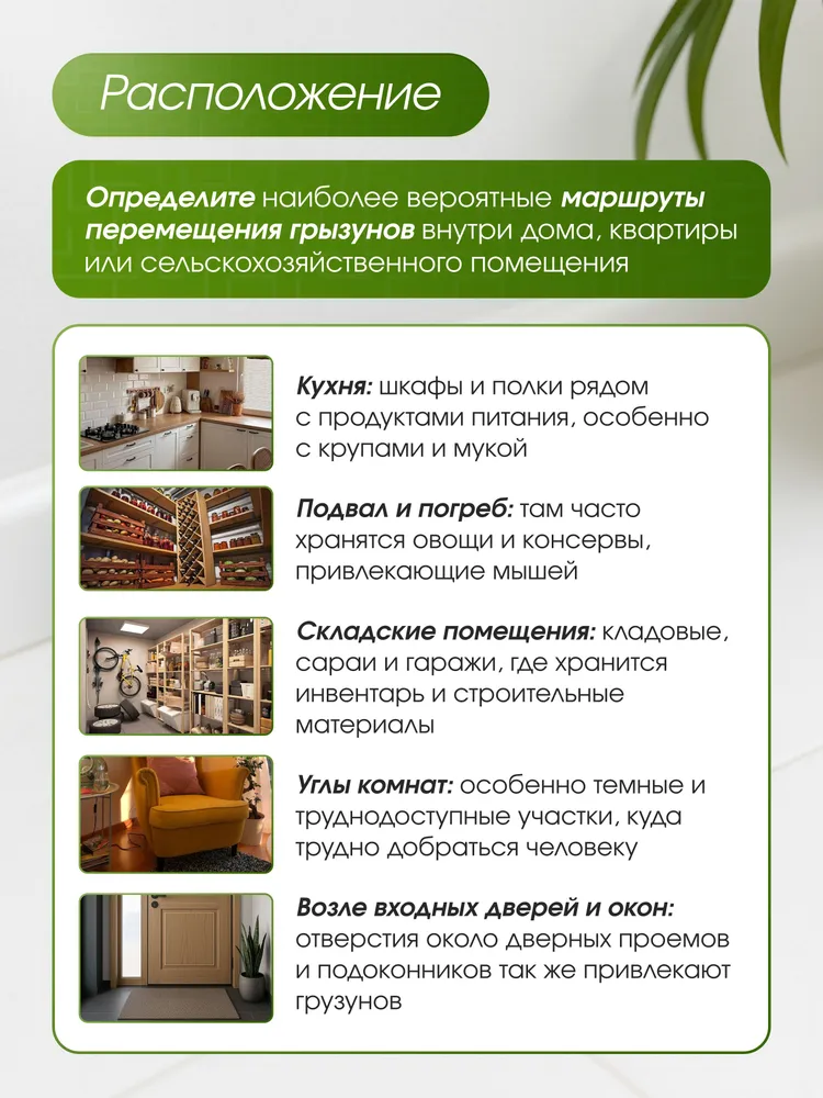 Мышеловка для мышей пластиковая, комплект 6 ШТУК, вариант, фото 3