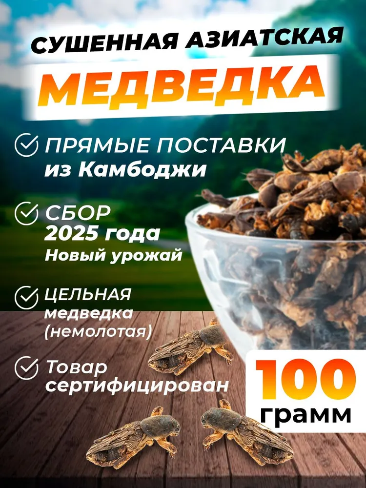 Медведка азиатская - 100 грамм. Камбоджа, вариант