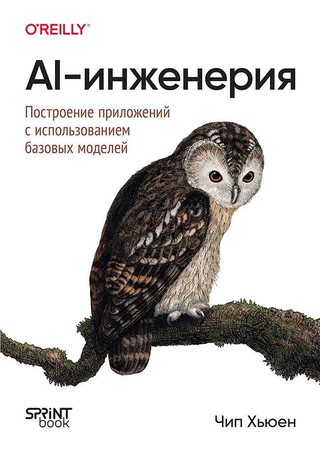 AI-инженерия. Построение приложений с использованием базовых моделей, вариант