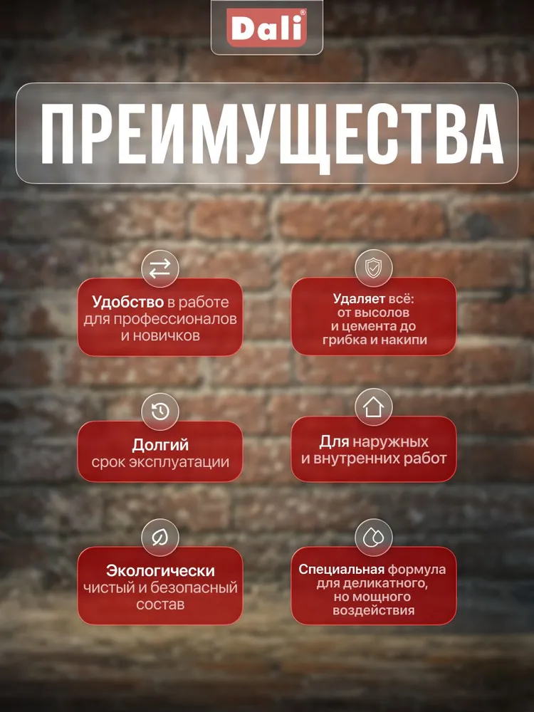 Очиститель фасадов DALI для минеральных поверхностей. Очистка от солевых отложений (высолов) бесцветный 5 л, 5 л, фото 2