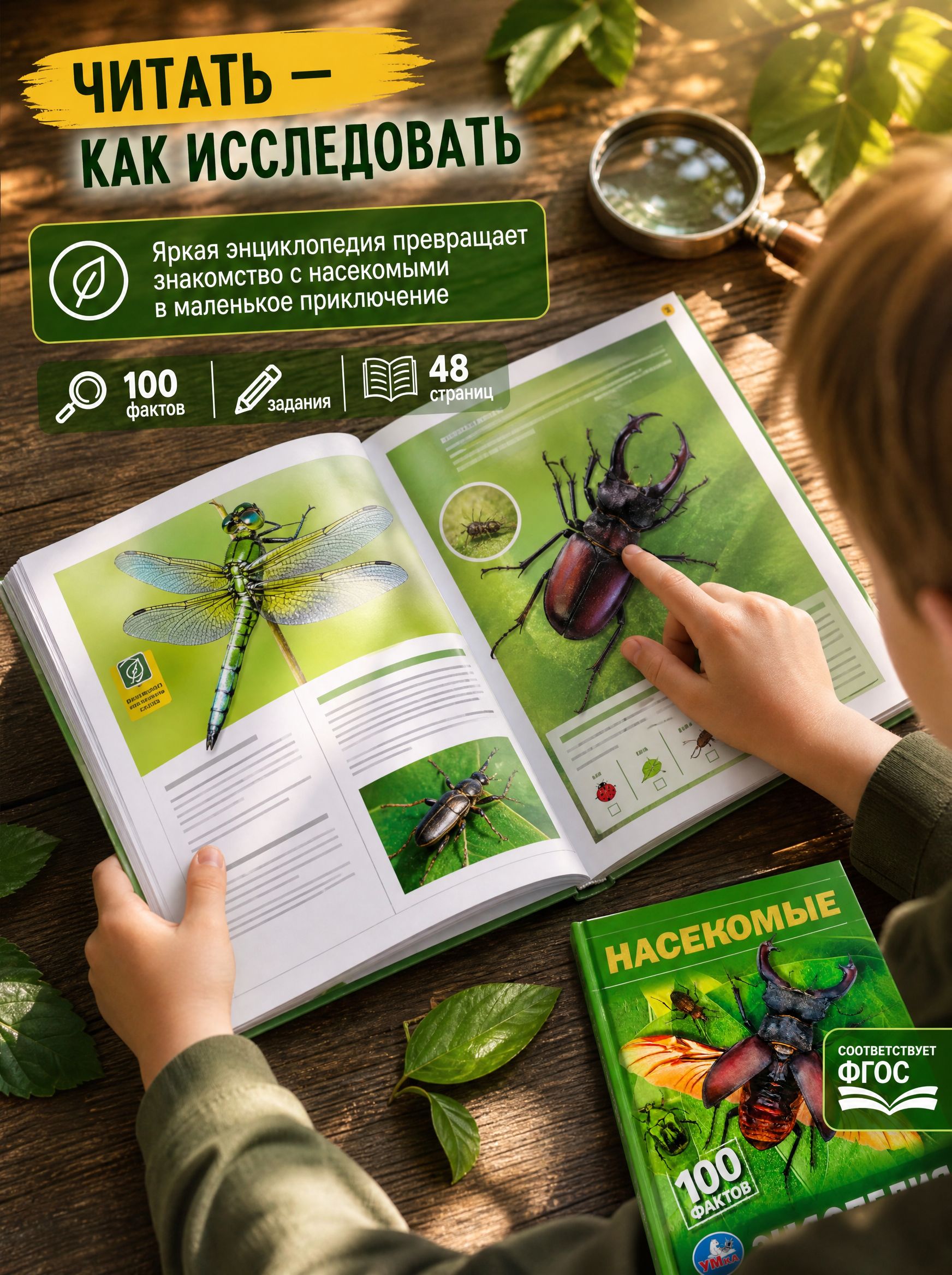 Энциклопедия для детей с заданиями Насекомые Умка / развивающая книга детская | Children's Encyclopedia with Activities: Insects - Ozon image 1