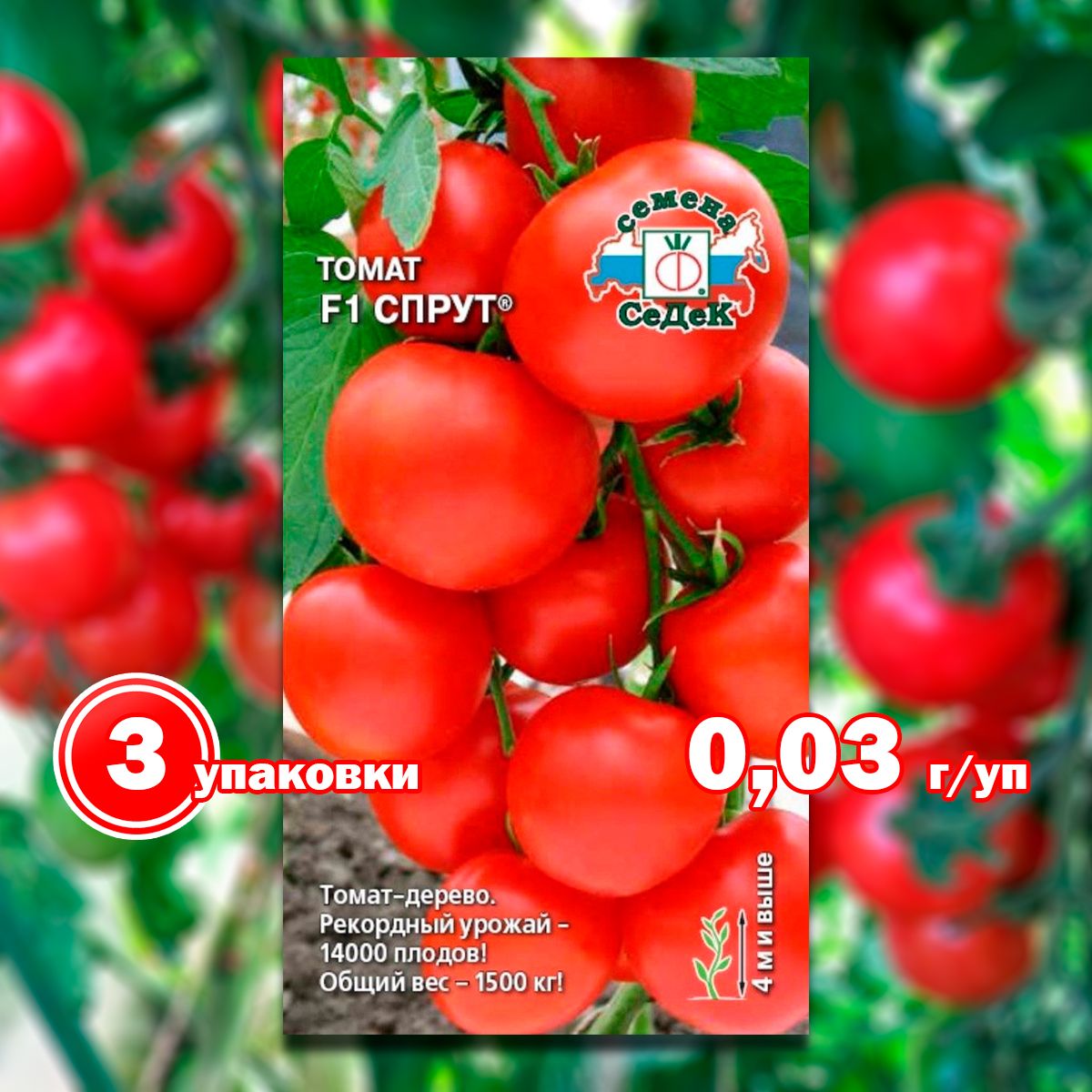 Спрут F1 на гидропонике