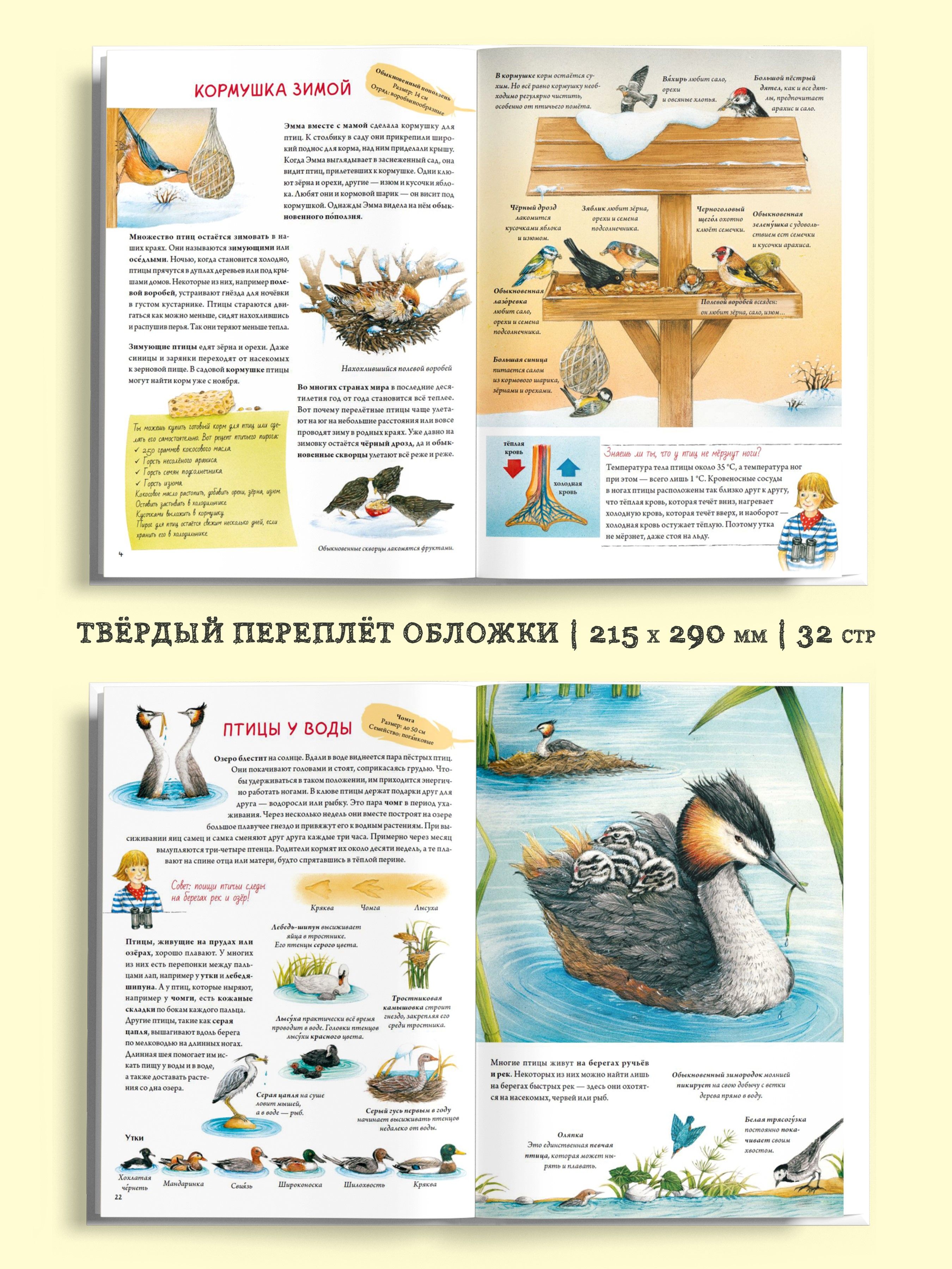 Книга о птицах. BIObook А. Толмачёва | A Book About Birds. BIObook by A. Tolmacheva - Ozon image 1