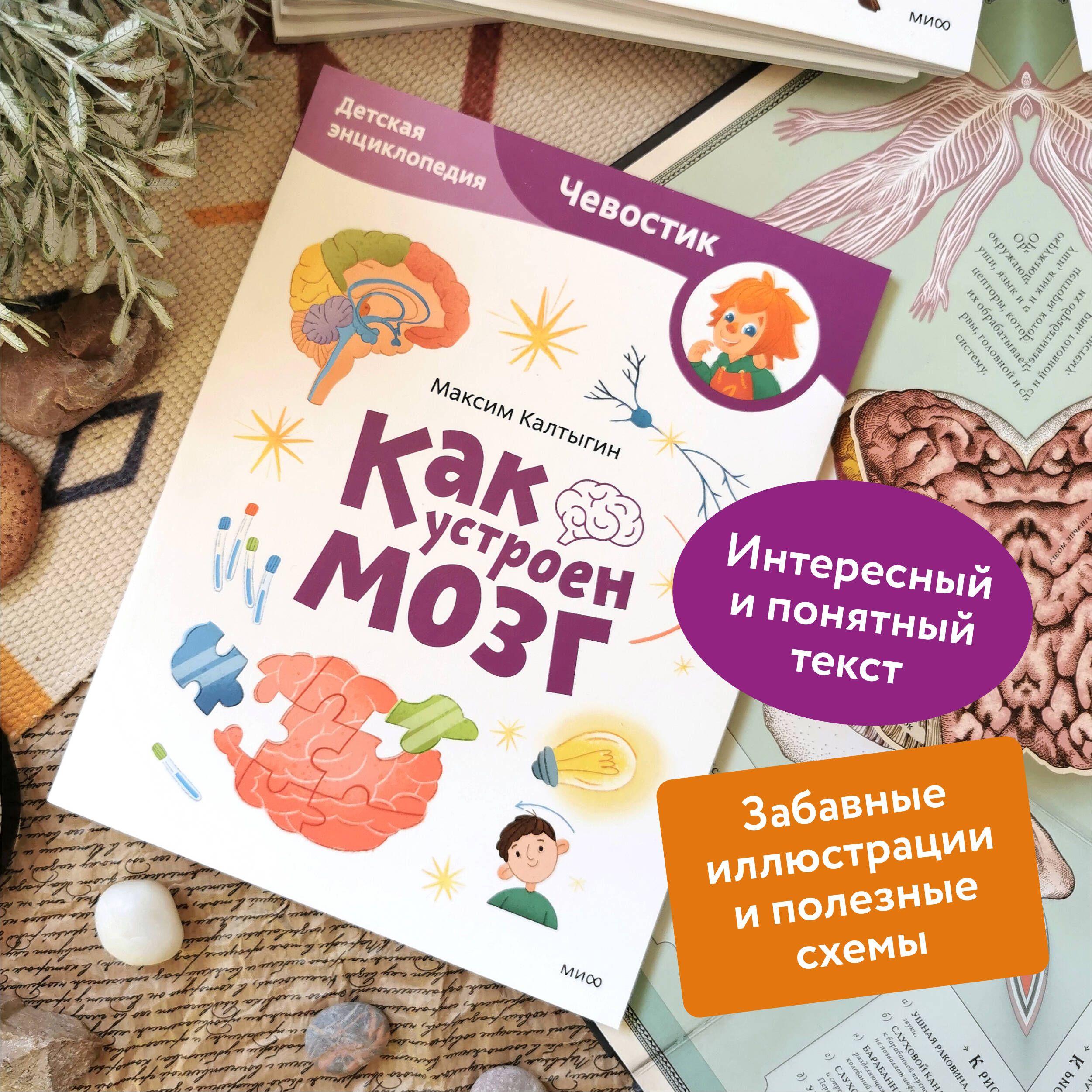 Как устроен мозг. Детская энциклопедия (Чевостик) | How the Brain Works: A Children's Encyclopedia (Chevastik) - Ozon image 1