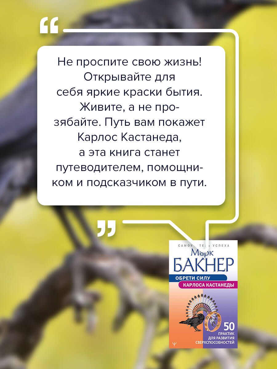Обрети силуКарлоса Кастанеды. 50 практик для развития сверхспособностей | Gain the Power of Carlos Castaneda: 50 Practices for Developing Superpowers - Ozon image 3