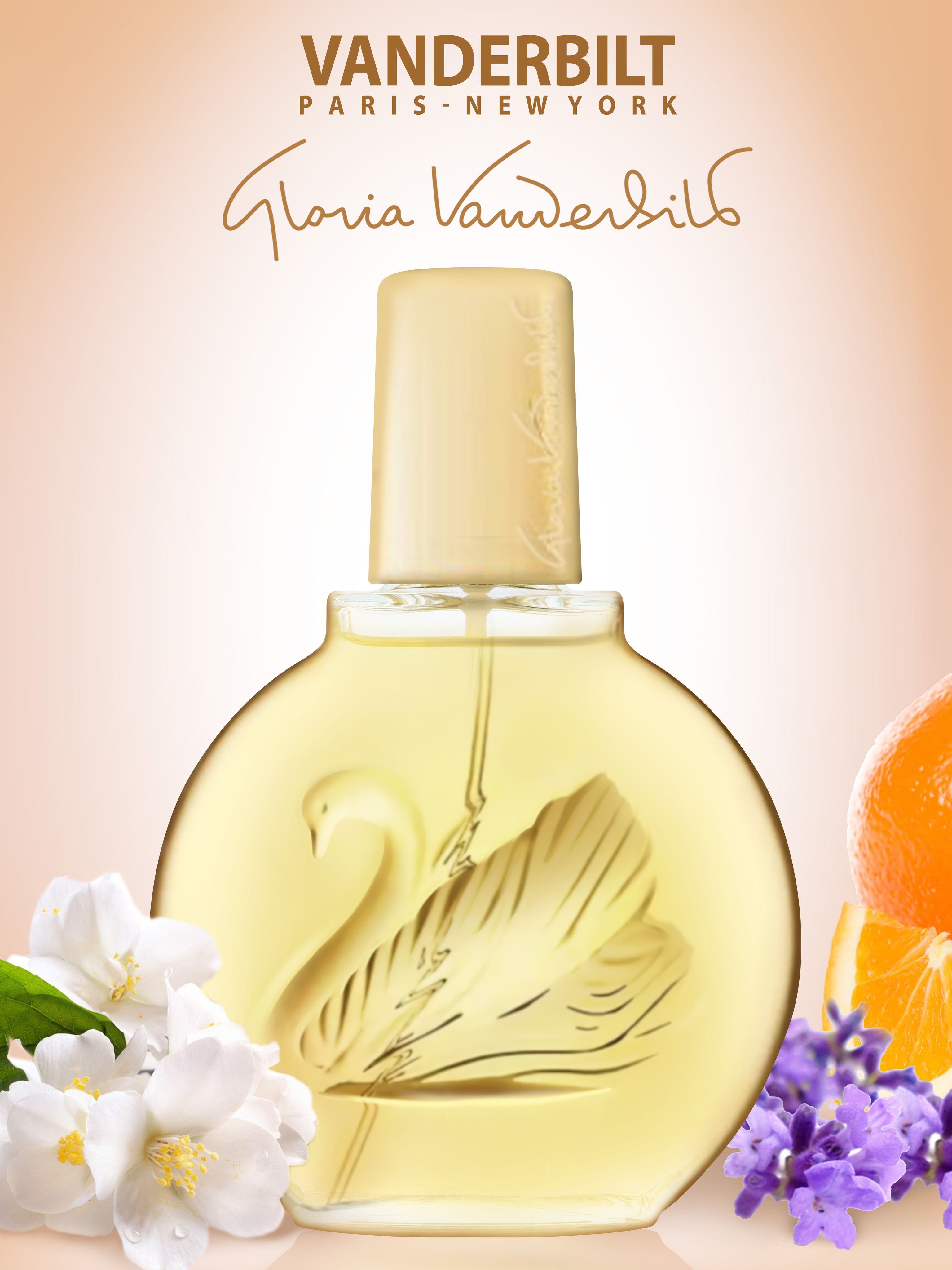 vanderbilt fortune lost - Ilustrasi 2