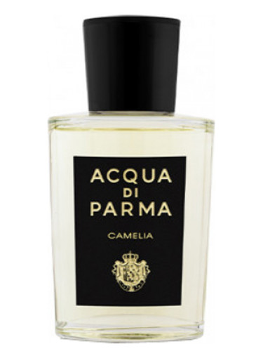 Acqua Di Parma Camelia Парфюмерная вода 100 мл купить
