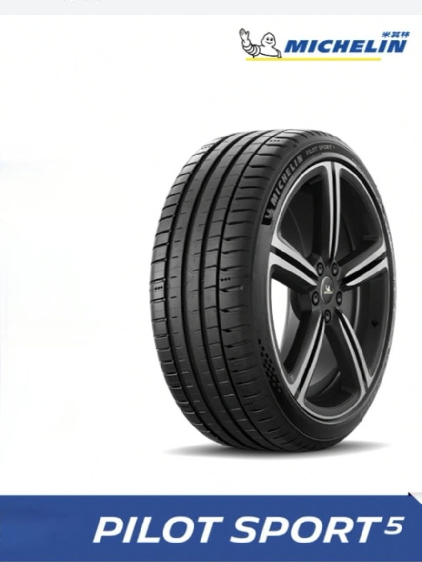 MICHELIN sport5 Шины всесезонные 225/55 R17 101Y 225/55ZR17 (1952805159)