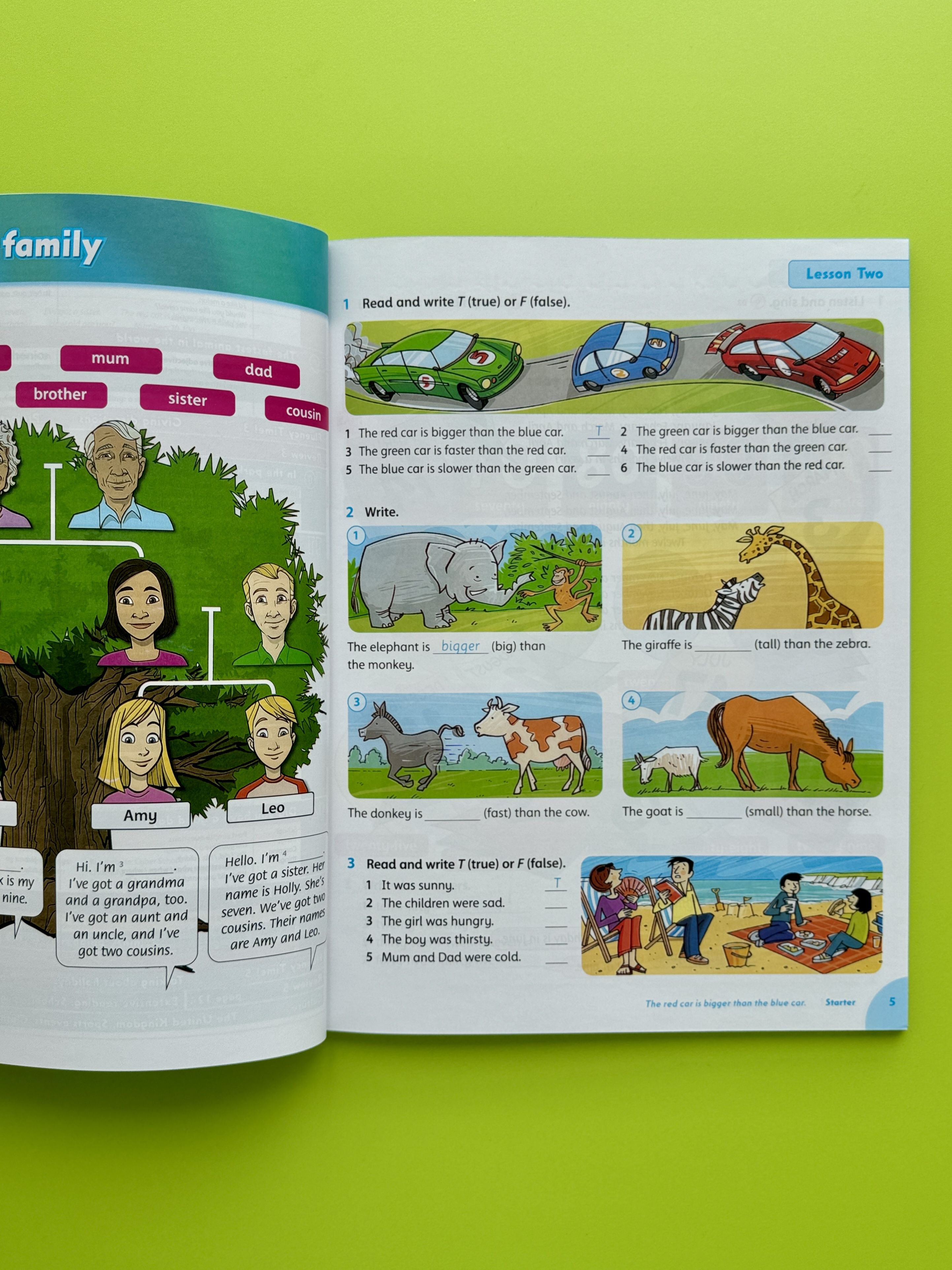 Family and Friends 3 + Grammar Friends 3 Полный комплект учебник+рабочая тетрадь+CD/КОД | Family and Friends 3 + Grammar Friends 3 Complete Set – Textbook, Workbook, CD - Ozon image 3