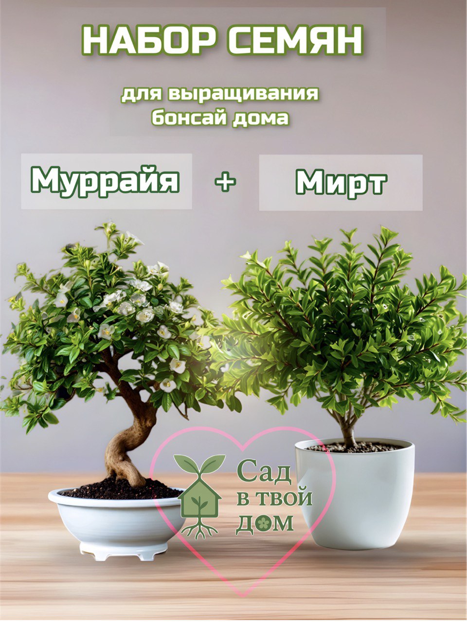 Полное руководство по выращиванию и уходу за миртом в домашних условиях