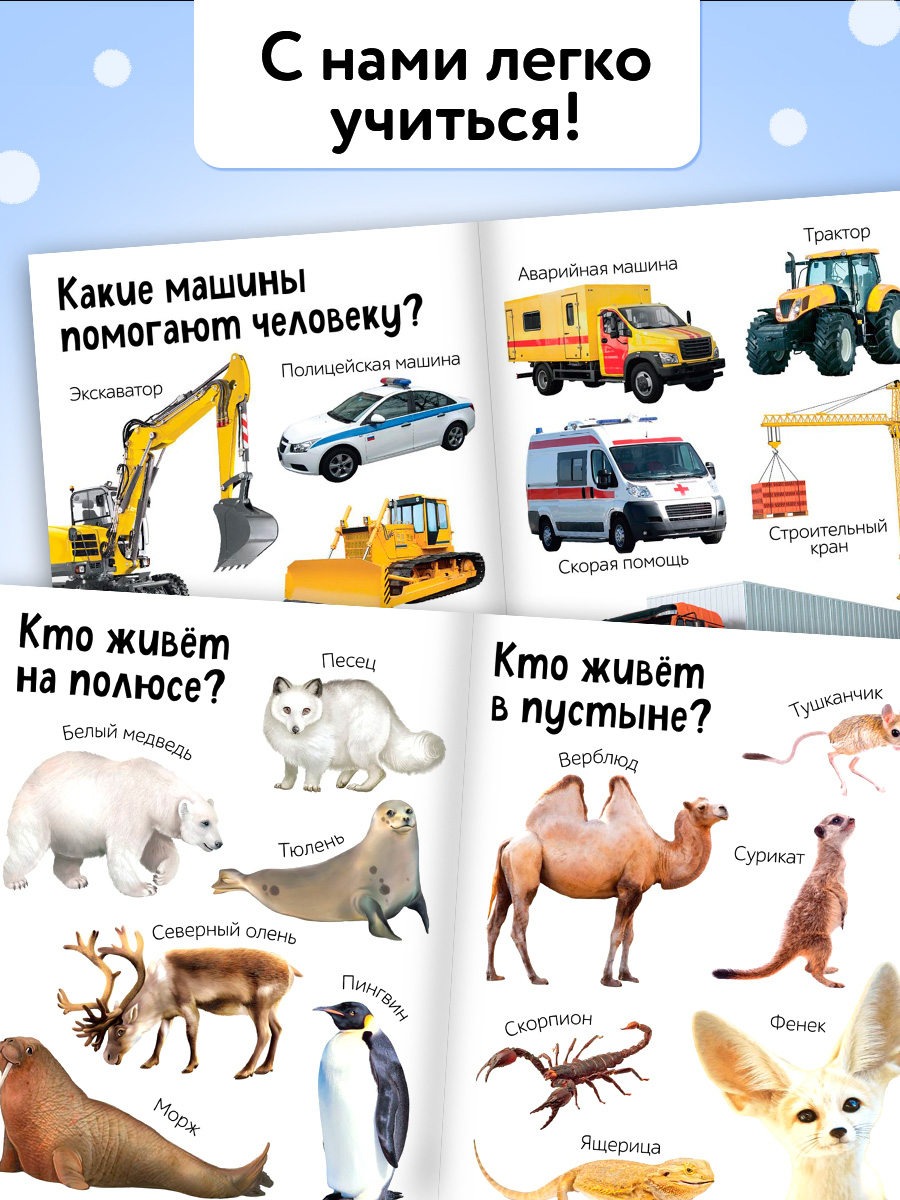 Энциклопедия для детей, Буква Ленд, "Первые 500 слов малыша", развивающие книги от 1 года | Bukva-Lend Learn to Read Set - Ozon image 5