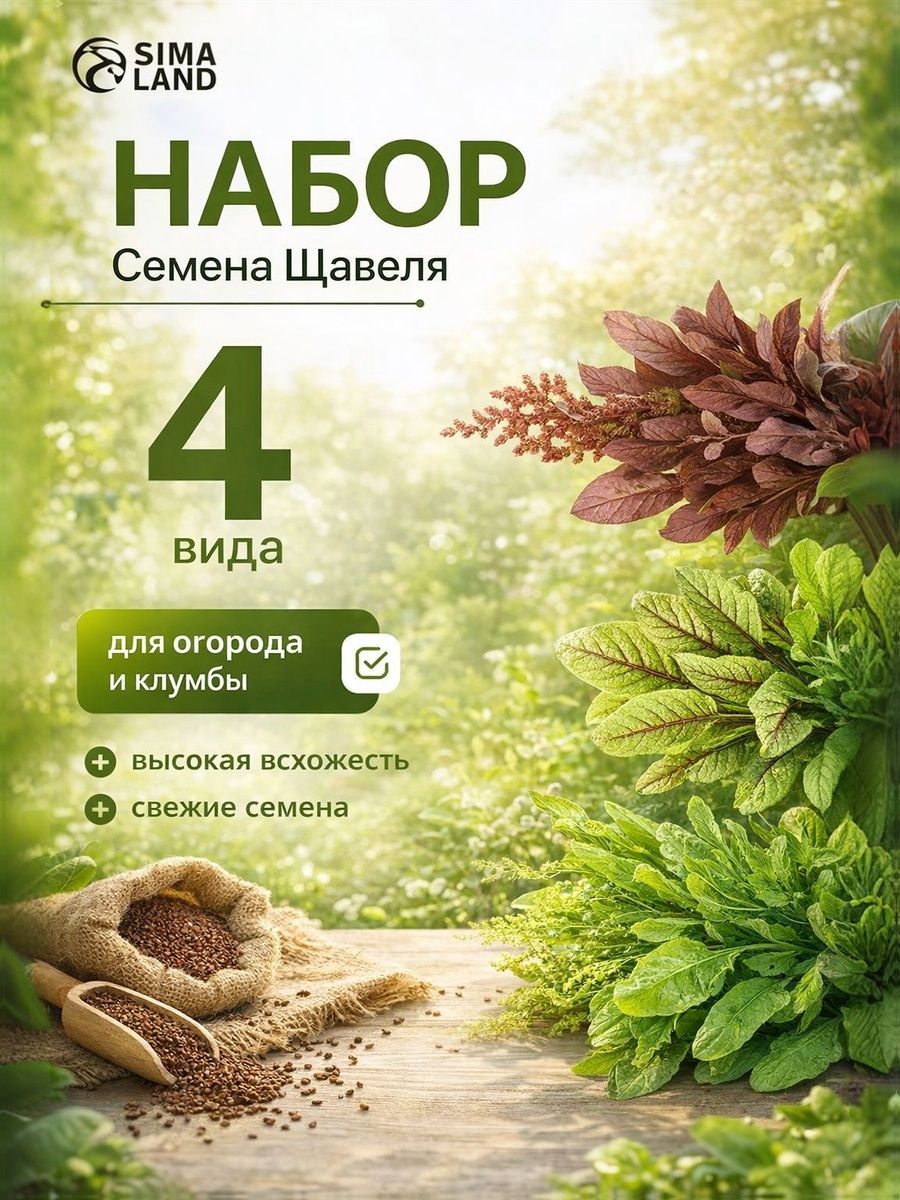 Семена Щавель набор 4 популярных сортов. / свежая зелень для дачи и огорода, 2 г, Аэлита