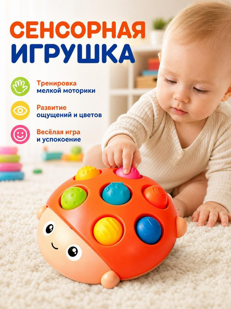 Сортер #1