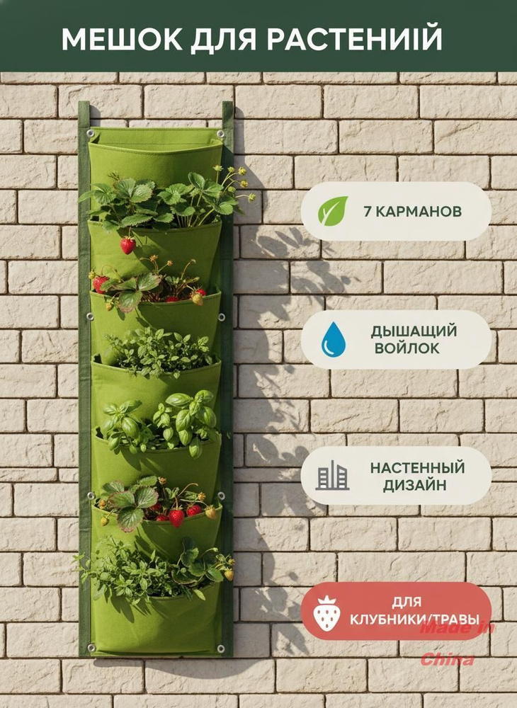 Фитомодуль #1
