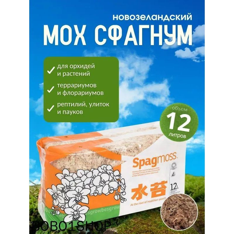 Мох #1