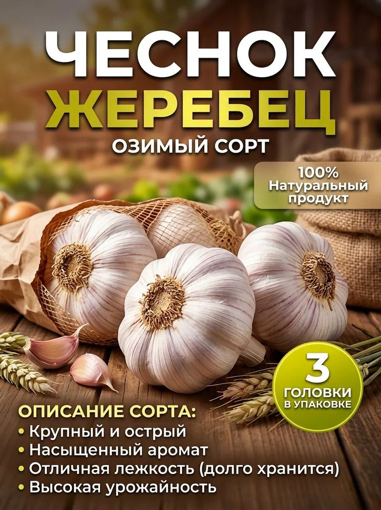 Семена #1
