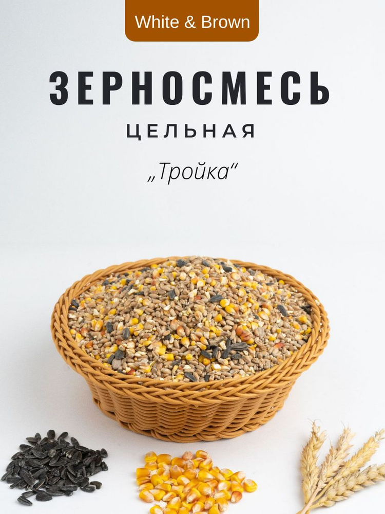 Зерносмесь для кур-несушек эконом